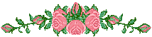 Pretty Flowers